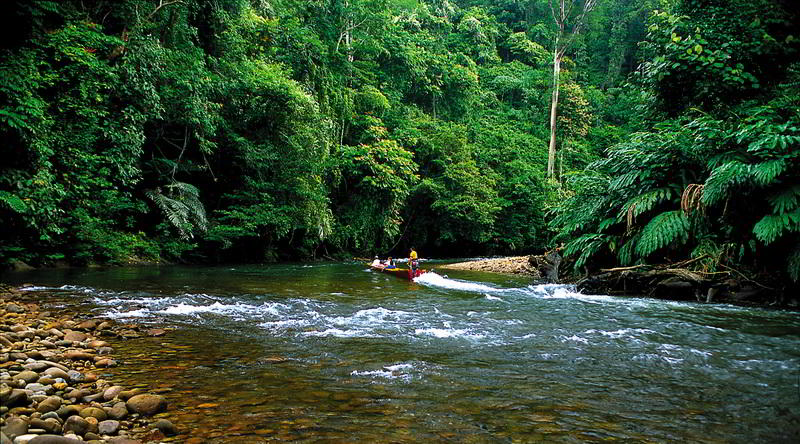 Ulu Temburong Nationalpark © David Kirkland, Sabah Tourism