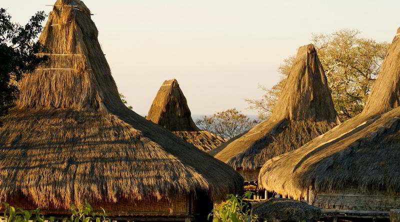 Traditionelle Häuser auf Sumba