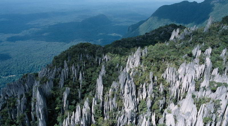 Felsformation im Mulu Nationalpark © Sarawak Tourism Board